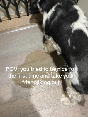 I’m not meant for being nice #fyp #viral @jrp.co 