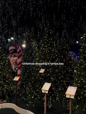 Went to Robert’s Christmas Wonderland for the first time🥹♥️ #tampabay #tampaflorida #christmasdecor #christmasshopping 