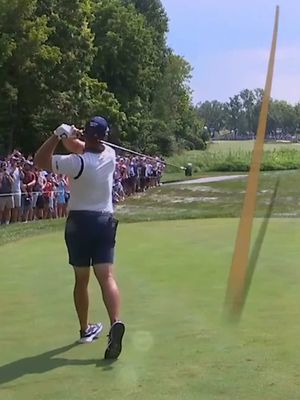 Could watch this all day