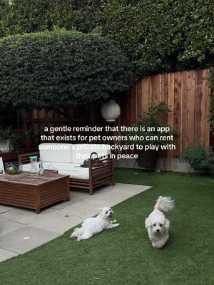 one of my dogs is a reactive rescue & our home doesn’t have a yard so this is particularly dreamy for us 🥲 @Sniffspot 