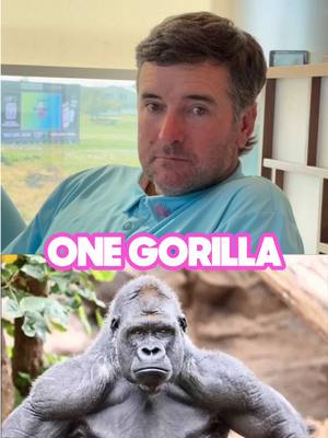 Remember this trend? 🦍🧍‍♂️