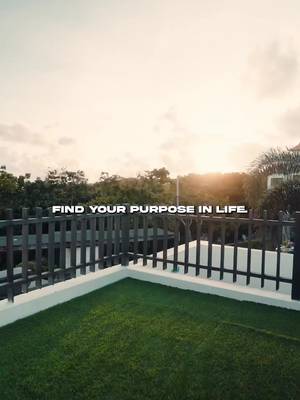 Find your purpose. #dream 