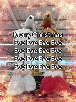 It’s basically Christmas Day #ChristmasEve #ChristmasRat #AldiUK #AldiTikTok