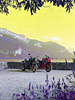 Found this bizzare rock too #hondamotorcycles #jojosbizarreadventure #jojoreference #hondahornet #jojosbizarreadventureedit 