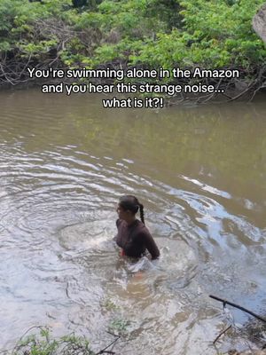I almost had a heart attack🥵 It was so hot during my solo challenge in the Amazon that submerging in the river felt like the biggest relief of my entire day. In the middle of the day, I had been jumping in fully clothed just to stay cool.  But getting into the water out here is intimidating... You have to shuffle your feet and splash around to scare off stingrays and electric eels under the water and you can even find anacondas sunning on the banks. The real startling moment was hearing these strange noises... Turns out I had no idea how dangerous the animal making them actually was😳 Any guesses what it turned out to be?