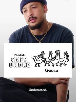 Dijon is part of the growing flock of Geese heads. Watch the full Over/Under at the link in bio. #Dijon #OverUnder #Geese
