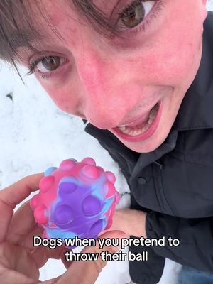 😂 it’s like a factory reset for them every time #relatable #dog #foryoupage #comedy #fyp 