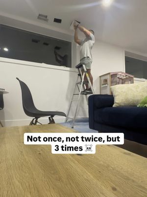 One of my fave (worst) memories of 2025 😅 #catsoftiktok #cats #funnycat #catsgonewild #catmeme 