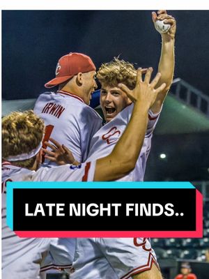 This fan angle >> Brendan Szerlag’s outstretched game-ender at Ripken! 👌 @Ripken Experience™ Aberdeen  #mlw #wiffle #wiffleball #baseball #majorleaguewiffle #mlw2025 #top10 #latenightfinds 