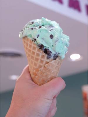 mint ice cream made better with every mix-in 😍🍫 what’s your perfect mix-in combo?