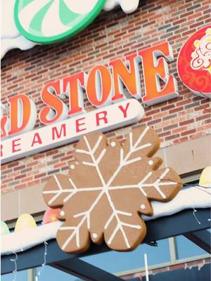 Explaining what our Holiday Spice and Everything Nice Creation™ tastes like 😏🍪🍫🍦 #fyp #Foodie #icecreamtok 
