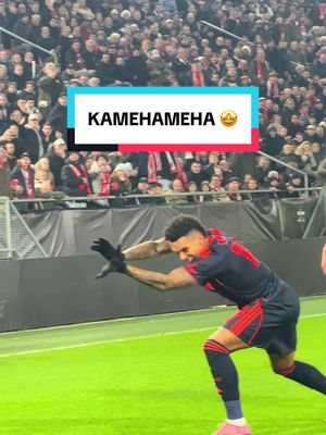 Kamehameha: Utrecht edition 😍