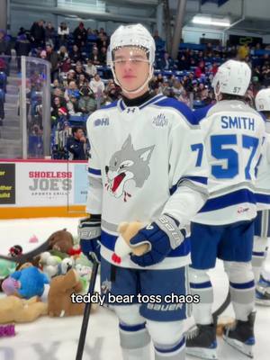 the bears have been thrown #teddybeartoss 