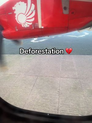 ‼️PLEASE SHARE ‼️This is what it looks like from above 💔 West Borneo , Indonesia let Sumatra floods be an example of what’s to come when you cut everything down … everyone loses , the people’s lives , the animals , the ecosystem, the business that took the land , everything and everyone loses! 