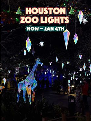 The Zoo Lights at the Houston Zoo @Houston Zoo are officially back ✨ Every winter the zoo turns into a glowing holiday wonderland with millions of LED lights, giant illuminated oak trees, light tunnels, and picture-perfect displays everywhere you look. First launched in 2012, Zoo Lights has become one of Houston’s biggest holiday traditions, drawing nearly 3 million visitors over the years. The animals are resting at night, but the lights steal the show — glowing sculptures, festive train villages, and cozy treats like hot cocoa and s’mores. If you’re looking for a holiday date night, family outing, or the most photogenic lights in the city… Zoo Lights is the move. 🎄✨ 📍 Houston Zoo – Zoo Lights 📅 Now through early January 🎟️ Tickets go fast — grab yours on the Houston Zoo website before they sell out. #houstonthingstodo #houstonzoo #houstontx #explorehouston #CapCut 