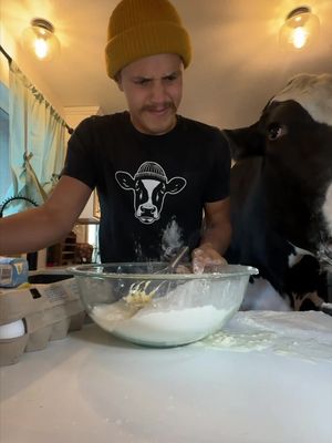 Trying to make pancakes with Bruce and Cantina! Wanna make a video yourself? Use this code, 8K1M5 to get beta access in the Cantina app #cow #brucethecow #animals #ad #cantinapartner 