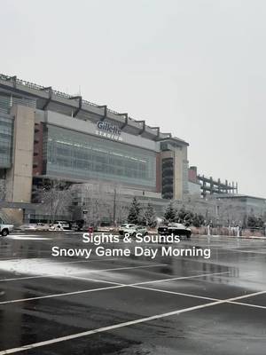 Go Pats! 