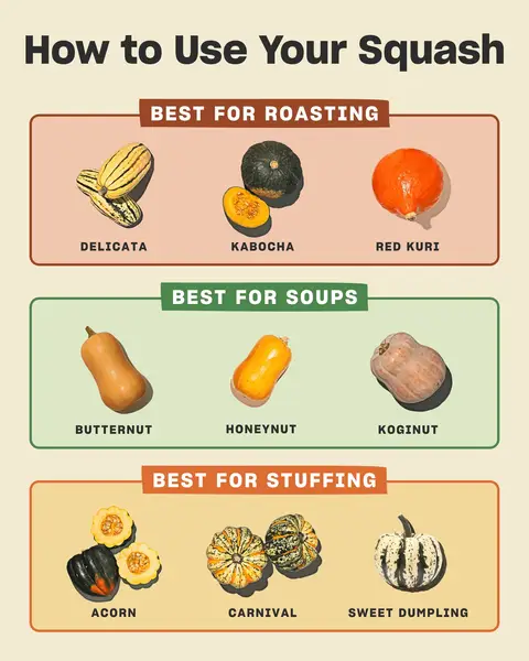 Some are born to roast. Some are born to stuff. Some just want to become soup.  Want a weekly surprise? Try our Mystery Squash and let fate decide what you cook up! 