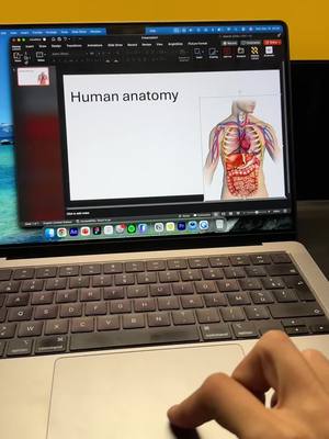 Like and follow if you love this presentation. #powerpoint #presentation #humananatomy 