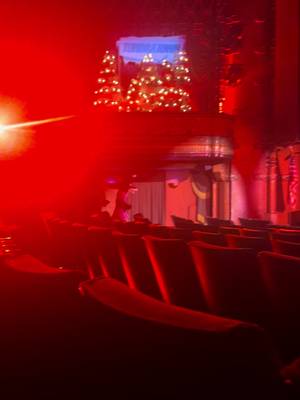 The El Capitan Theater is owned by Disney so they have characters perform a whole show before the movie, even if the audience is just one person (me) 😂