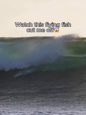 Quando o mar resolve participar da session 🐟😂 @uriah_anchor surfando… e um peixe voador roubando a cena! 🎥 @uriah_anchor #WSLBrasil