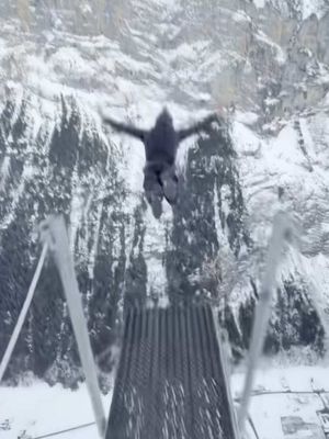 Taking Stake to new heights 🪂🔥 #highstakes #adventure  ⚠️ The actions in this video are performed or supervised by professionals. Do not attempt.