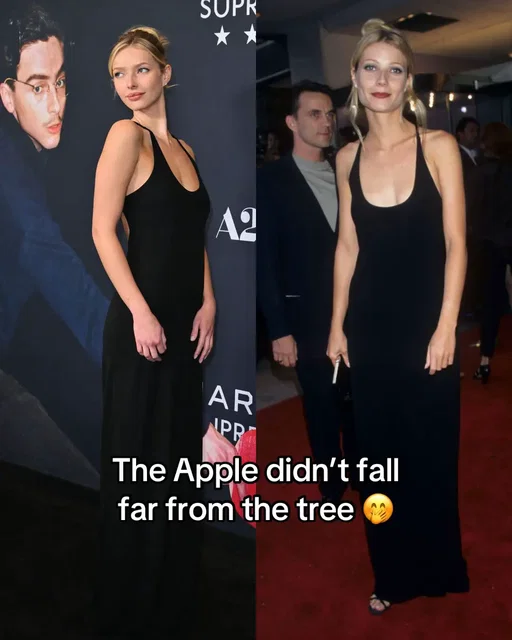 The apple doesn’t fall far from the tree, eh? #AppleMartin, that is  👑🍏Seen in the same vintage #CalvinKlein black gown her mom, #GwynethPaltrow wore in 1996. Proof that a nostalgic throwback will always win over a red carpet ✨ Images: Getty                #celebrity #redcarpet 