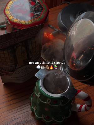 Snow falling, holiday tea (these ones are from @Chapters Tea & Company—🔗 in bio for the holiday sale!), a fire blazing in the wood stove, and a Christmas murder mystery book? Count me IN. 🌨️❄️☕️📖 I absolutely LOVE a good snow day, at least if I don’t have to go anywhere. 😜  We’ve only had one snow day this month and I am longing for more, but the forecast is showing temperatures in the upper 40’s and 50’s this entire week (?!?!?!) so I don’t think a white Christmas will happen this year. 🥲 The forecasted temperature on Christmas right now is—and I QUOTE—SIXTY-SEVEN DEGREES. 😂😭 It has been an abnormally frigid December so far though (literally had wind chills in the teens most of last week), so I do plan to take advantage of the nice weather and get outside more while it lasts. How has December been for you so far?! Do you think you’ll have a white Christmas?! ❄️ #snowday #cozyvibes #christmasmood december mood, December vibes, cozy little Christmas, Christmas decor, cozy at home, cozy home decor, snowy weather, snow, winter vibes, tea time, bookish, introverted homebody #homebody #introverts 