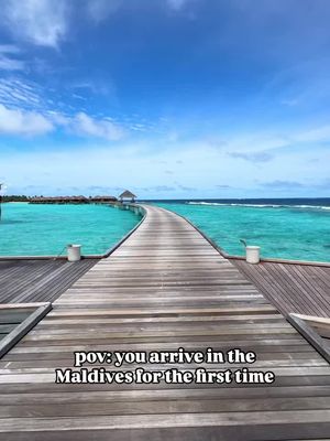 -follow for more travel inspo ✨ pov: you arrive at for the first time 😂💀 If you’ve been to the Maldives before you’ll know this feeling all too well 😂 This two bedroom overwater pavilion with a whole damn SWIMMING POOL in the living room is what dreams are made of. If you’re looking to make your Maldives vacation an epic one, then you NEED to stay here! TAG someone you would bring here 👇🏼 #maldives #maldivesislands #maldivesvacation #huvafenfushi #maldiveshoneymoon #tripofalifetime #bucketlistadventures #dreamtrip