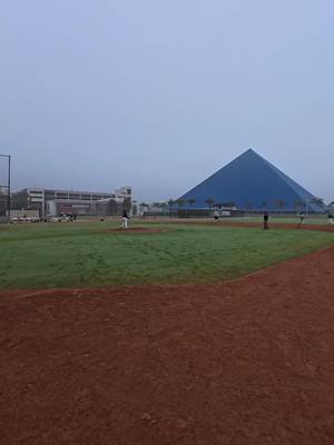 Gotta pick those man 😂 #pov #firstbase #MLB #baseball #fypシ 