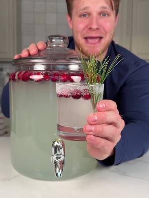 Santa’s Sleigh Ride Jungle Juice! #timthetankofficial #drinks #christmas 