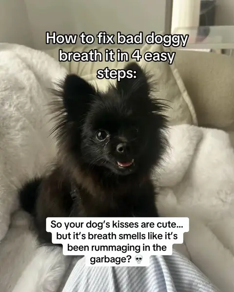 Thank us later 😌