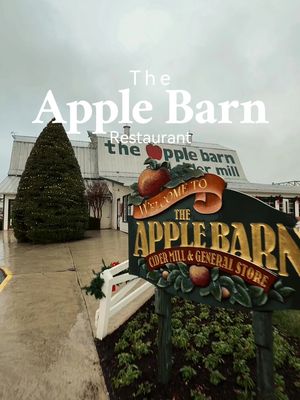 The Apple Barn in Pigeon Forge is truly one of the best meals you can have in Tennessee! #applebarn #pigeonforge #gatlinburg #gatlinburgtennessee #pigeonforgetennessee 
