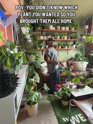 Which one yall coming home with me next? 🤣🪴🤧  #toomanyplants #plants