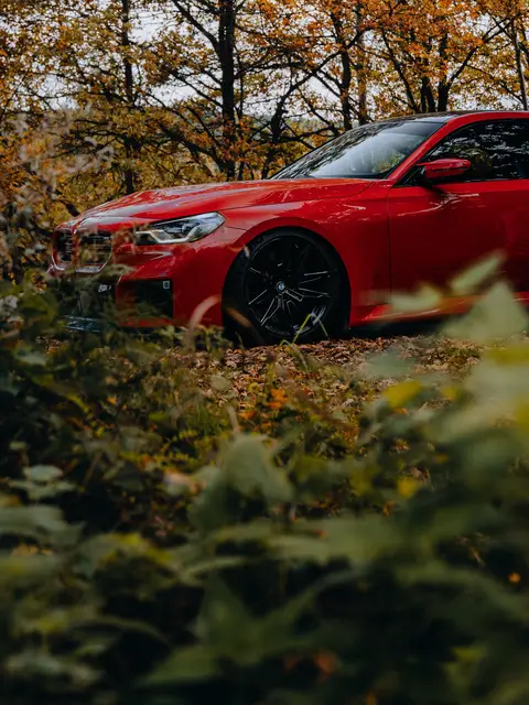 Here, hidden among the forest trees, an apex predator emerges. 📸: @wheelscaptures  #BMW #M2 