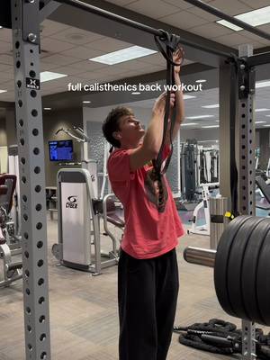 simple routine, but great results #calisthenics #fitness 