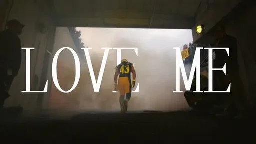 my goat 🐐 🤟 #steelers #troypolamalu #loveme #edit 