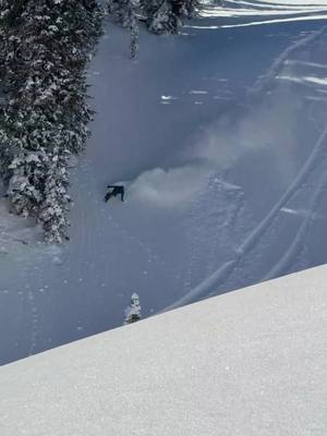 Had to haul ass into this jump… almost hit that tree too