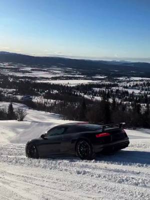 Black or white?  #slsrally #supercars  #audi #audisport #r8 💨🥶