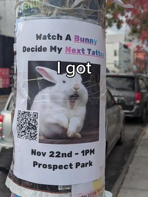 A bunny picked my tattoo. Thank you @Photoshop <3 Download Photoshop on mobile via the link in my bio #adobepartner 