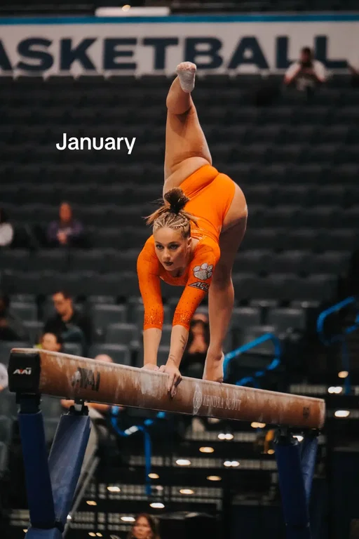 Competed for the last time, graduated, girls trip, moved to another state, started working, bf moved in, got a dog, learned how to snowboard!!  #2025wrapped 