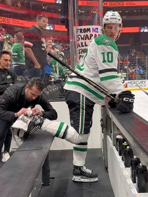 does this hurt the horse? #NHL 