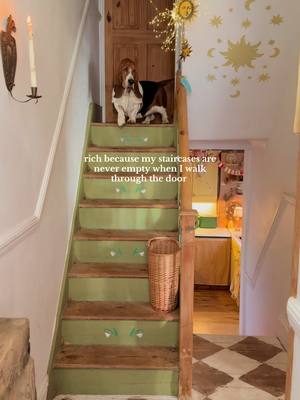 my house wouldn’t be a home without them 🐶 🐱 🐈‍⬛ #dogsandcats #bassethound #wholesomecontent #wholesome #catlover 