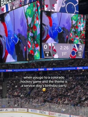 The crowd sang happy birthday while she devoured her cake 🥹 HBD Maxy! @Colorado Avalanche #denver #colorado #dogs 