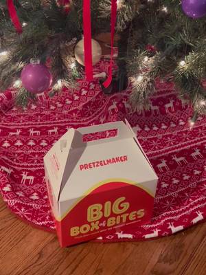 all i want for christmas is… the Big Box of Bites ❤️