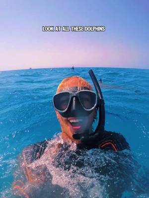 such an insane experience 🤯🐬 If you’re intrested in joining us here in the Red Sea October 2026 DM me the word “dolphin”  