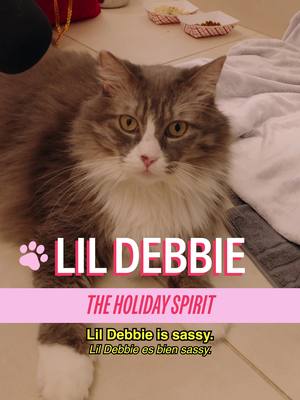 Meet Lil Debbie at Animal Haven in Soho for a very special holiday episode brought to you by @Cash App Thanks for the presents!!!🐈🐾 A show by Mad Realities host @MICHELLADONNA  creative producer christian wallace shriver  dp Joao Sanchez  editor sean fitzmaurice  design Alex Mi  ae Ryan Novak  pa Vivienne Shriver Cash App is a financial services platform, not a bank. Banking services provided by Cash App’s bank partner(s). Prepaid debit cards issued by Sutton Bank, Member FDIC. #cat #nyc #holiday #cashapp #shopcats 