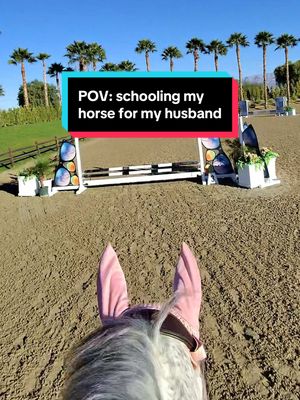 he just needed to get his vinegar out 😅 it’s been a while since I brought King to the show ring 🥹 he was a perfect angel all week though (even through his excitement episodes) and Max learned SO much every day! King honestly is not a “beginner horse” but he’s the only one I’ve got for Max to learn on and they’ve been so great together. Max is really having to ride the course & can’t just be a passenger even at his level, which is for the best anyways!  I love King so so much 🩷 #equestrian #equestriansoftiktok #showjumping #horseshow #povride 