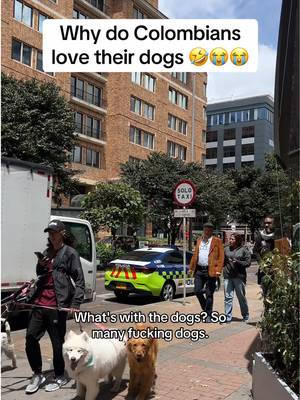 Colombians love their dogs 🫣 #backpackingcentralamerica #tiktokcolombia🇨🇴 #medellincolombia #backpackingsouthamerica #colombiatravel 