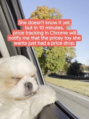 This pup is living her best life. Thanks to price tracking in Chrome, it’s about to get even better. 🐶